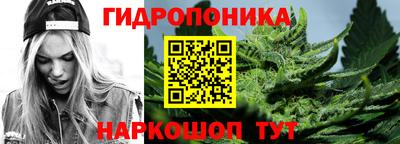 твердый Будённовск
