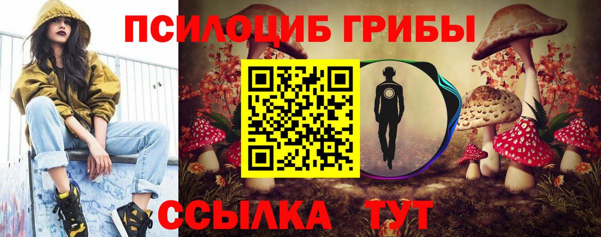 Галлюциногенные грибы Cubensis  Вход с VPN  Азов 